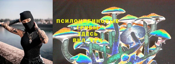 эйфоретик Алексин